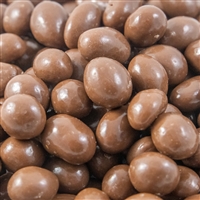 Chocolate Covered-Peanuts - 8 oz Bag