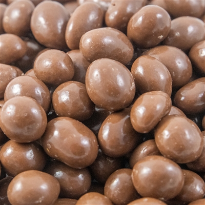 Chocolate Covered-Peanuts - 8 oz Bag