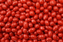 Boston Baked Beans - 1 LB Bag