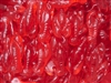 Gummi Lobsters - 5 LB Bag