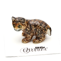 Little Critterz - "Whiskers" Bobcat Kitten