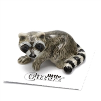 Little Critterz - "Bandit" Raccoon