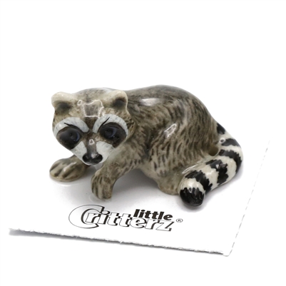 Little Critterz - "Bandit" Raccoon