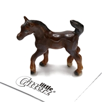 Little Critterz - "Asil" Arabian Colt