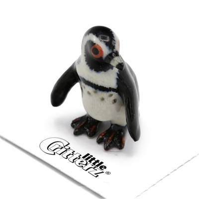 Little Critterz - "Simon" African Penguin