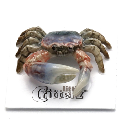 Little Critterz - "Claw" Fiddler Crab