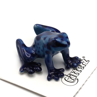 Little Critterz - "Sapphire" Blue Dart Frog
