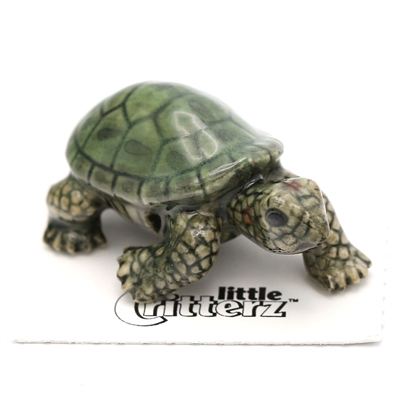 Little Critterz - "Ras" Garden Turtle