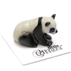 Little Critterz - "Hua Mei" Panda Cub