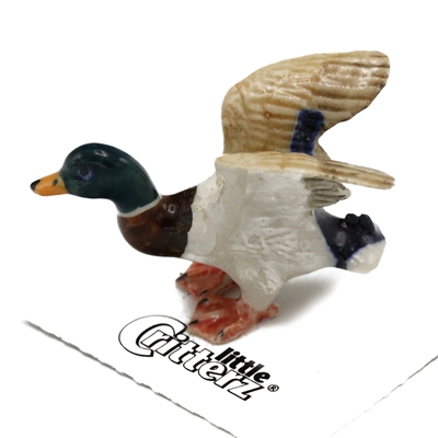 Little Critterz - "Dabbler" Mallard Duck