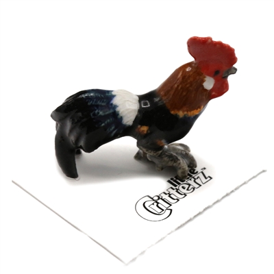 Little Critterz - "Sydney" Rooster