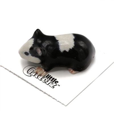 Little Critterz - "Ziggy" Guinea Pig