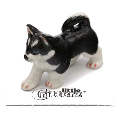 Little Critterz - "Bering" Siberian Husky