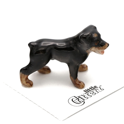 Little Critterz - "Raina" Rottweiler