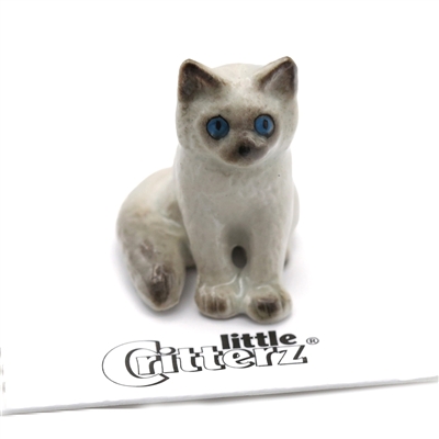 Little Critterz - "Samantha" Ragdoll Kitten