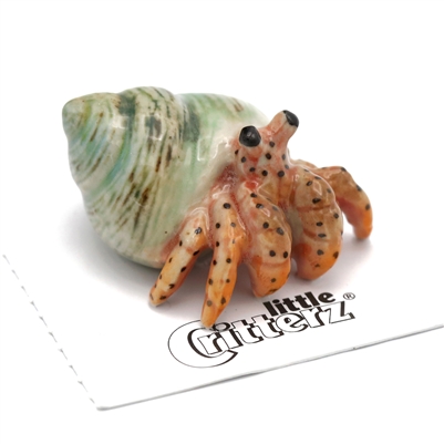 Little Critterz - "Hermit" Crab