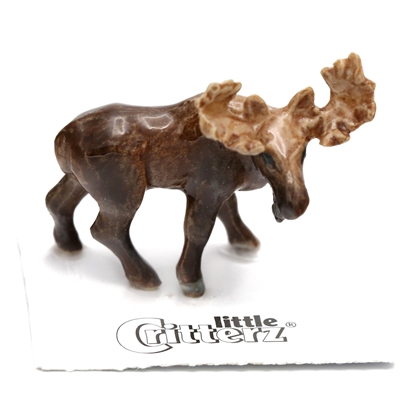 Little Critterz - "Bull" Moose