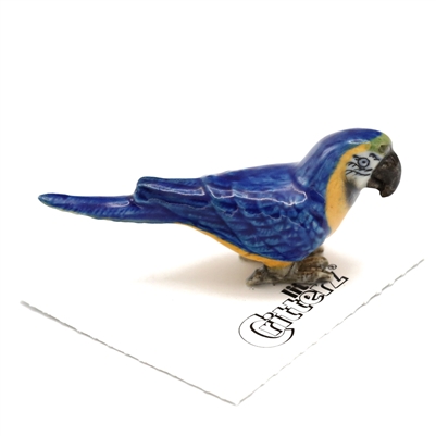 X-Little Critterz -  "Arara" Blue & Gold Macaw