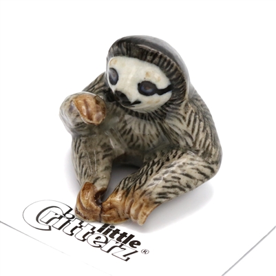 Little Critterz - "Buttermilk" Three-Toed Sloth