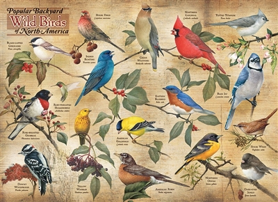 Puzzle - Popular Backyard Wild Birds of North America
