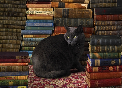 Puzzle - Library Cat