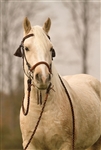 Barefoot Amber Bridle 2 in 1