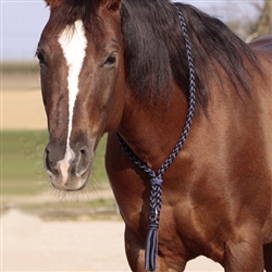 Barefoot Amber Neck Tie