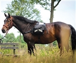 Barefoot Backpack Walk-My-Horse Trail Bags