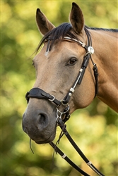 Barefoot Oaklet Western Headstalls