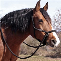 Barefoot Peony Bitless Bridle - discontinued