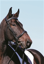 Barefoot Wellington Contour Physio Bridles