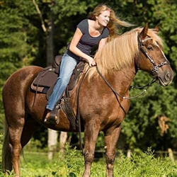 Barefoot Nevada Treeless Western Saddles - Black, Size 2 - SALE!