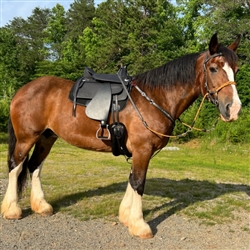 Welcome to Barefoot Saddles - What to know Before You Order
