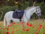 Barefoot VegiTex® Contour Physio Bridle