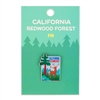 Pin - California Redwood Forest