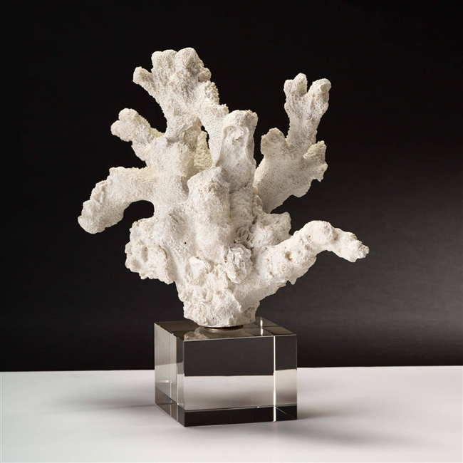 Triton Coral