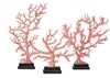 Red Coral Branch Medium