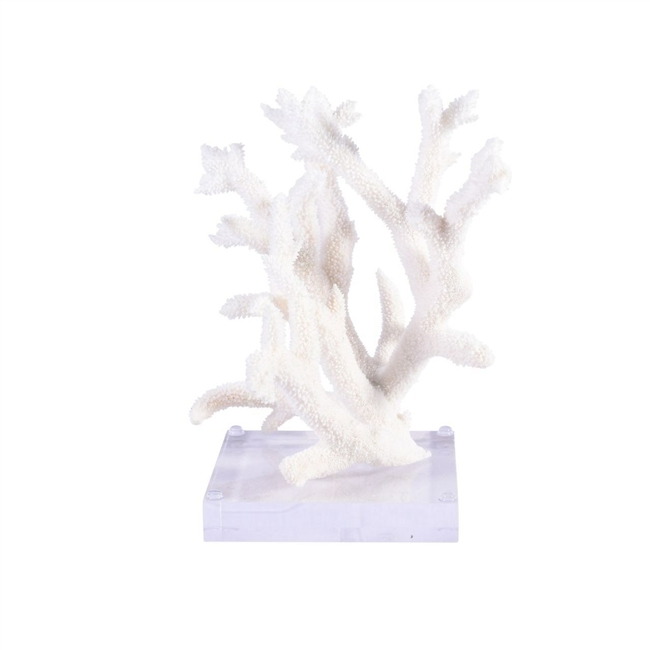 Staghorn Coral on Acrylic Base