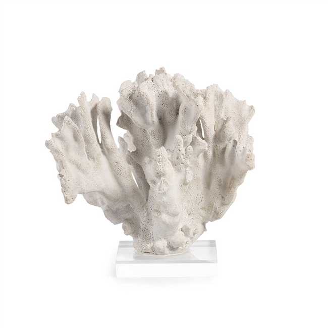 White Palawan Coral on Acrylic Base