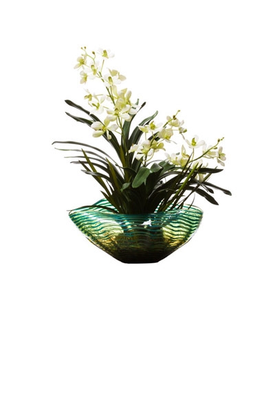 CREAM VANDA IN TURQUOISE BOWL