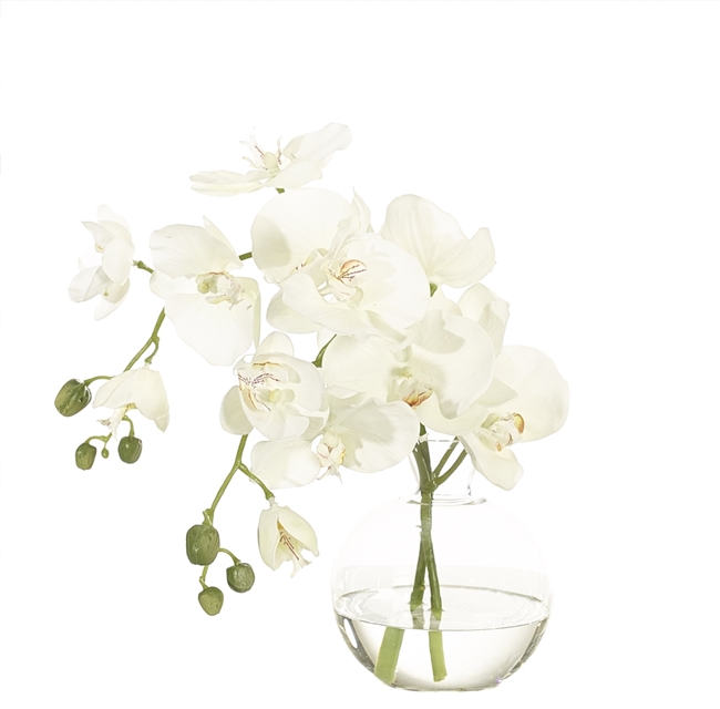 Orchid Phalaenopsis White Glass Decanter