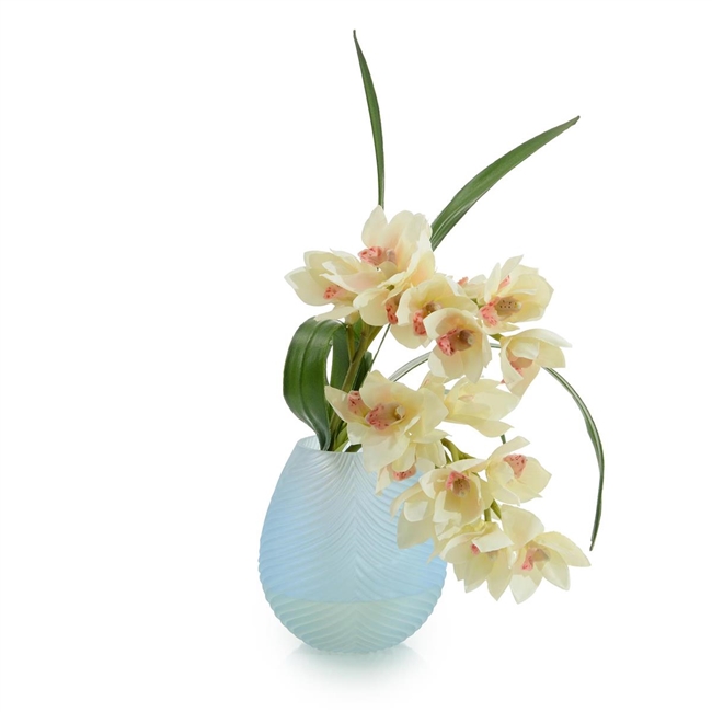 Blushing Blue Cymbidium