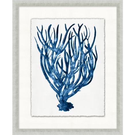 Blue Sea Fan 3