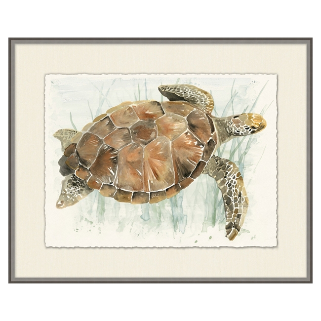 Watercolor Turtle I