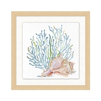 Watercolor Sea Shells 4