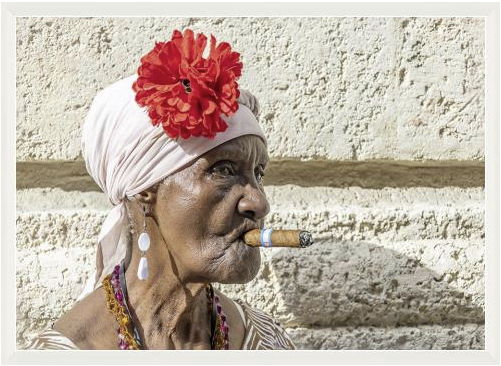 Cuban Woman With Rose