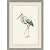Watercolor Bird 3