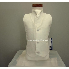 Poly silk Vest & Necktie Set - Ivory