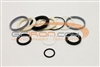 101253GT SEAL KIT, CYLINDER 88668GT