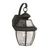 1-LT Brass Outdoor Lantern